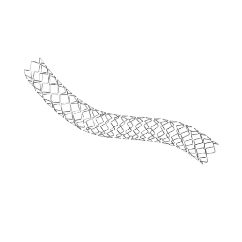 Stent Coronario Liberador de Droga