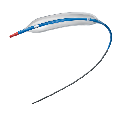 PTCA Balloon Dilatation Catheter