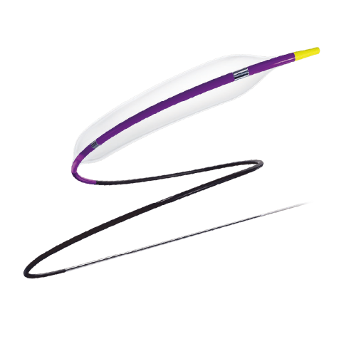 NC Coronary Dilatation Catheter