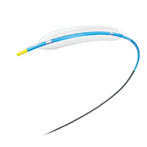 Neuro Balloon Dilatation Catheter