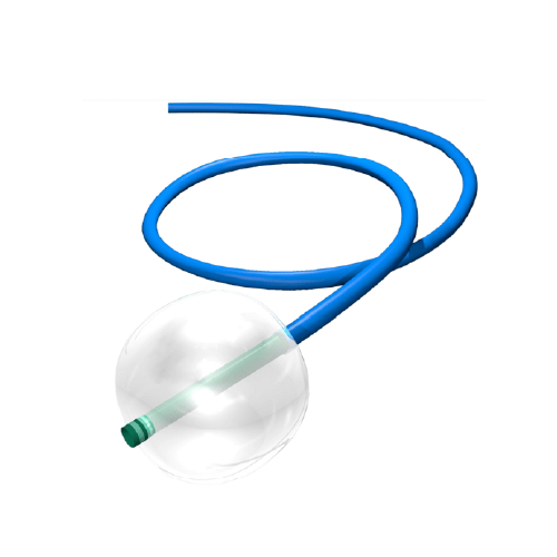 Balloon Guide Catheter